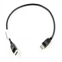 Lenovo 0.5m DisplayPort 0,5 m Negro