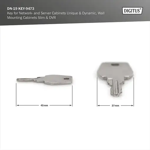 Digitus Llave para armarios murales de las series Unique y SOHO Pro