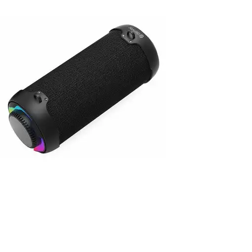 Denver BTG-213 altavoz portátil o de fiesta Negro 10 W