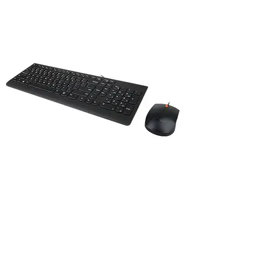 Lenovo 300 teclado Ratón incluido Universal USB QWERTY Inglés de EE. UU. Negro