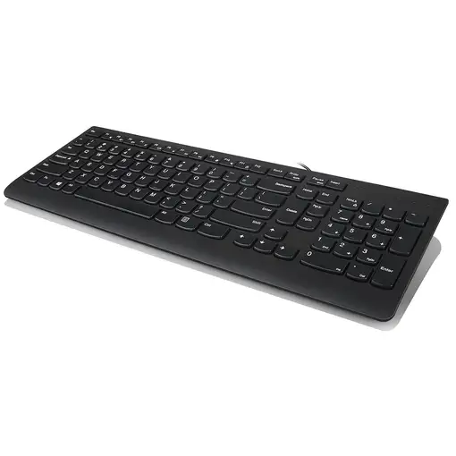 Lenovo 300 teclado Ratón incluido Universal USB QWERTY Inglés de EE. UU. Negro