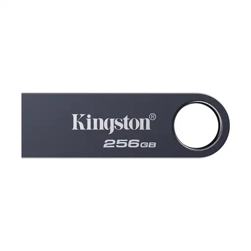 Kingston Technology DataTraveler 256 GB SE9 G3 - Níquel oscuro