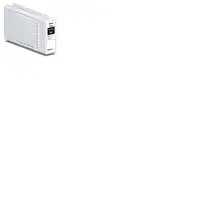 Epson UltraChrome Pro10 cartucho de tinta 1 pieza(s) Original Foto negro