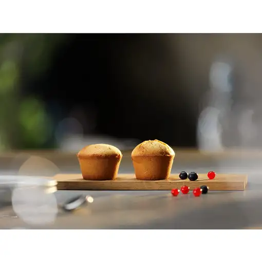 Horno 65 L Negro Serie 600 944 068 341 ELECTROLUX