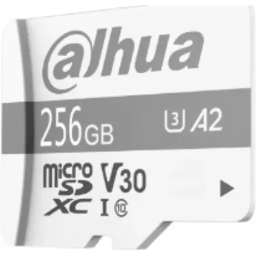 Dahua Technology P100 256 GB MicroSD UHS-I Clase 10