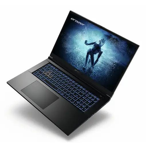 Erazer MD62643 Intel® Core™ i7 i7-12650H Portátil 43,9 cm (17.3") Full HD 16 GB DD