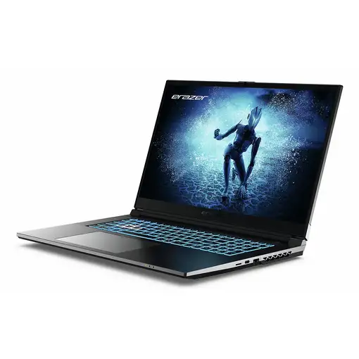 Erazer MD62643 Intel® Core™ i7 i7-12650H Portátil 43,9 cm (17.3") Full HD 16 GB DD