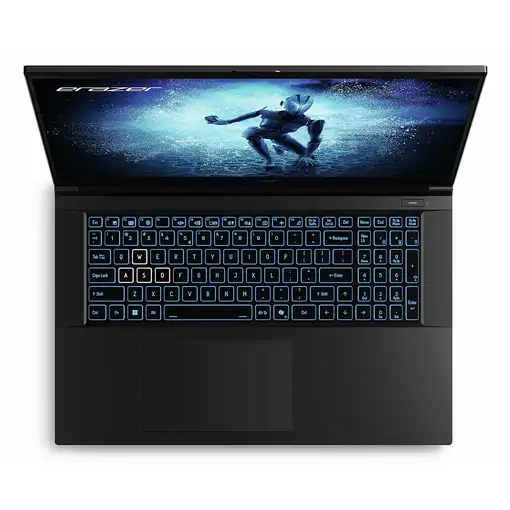 Erazer MD62643 Intel® Core™ i7 i7-12650H Portátil 43,9 cm (17.3") Full HD 16 GB DD