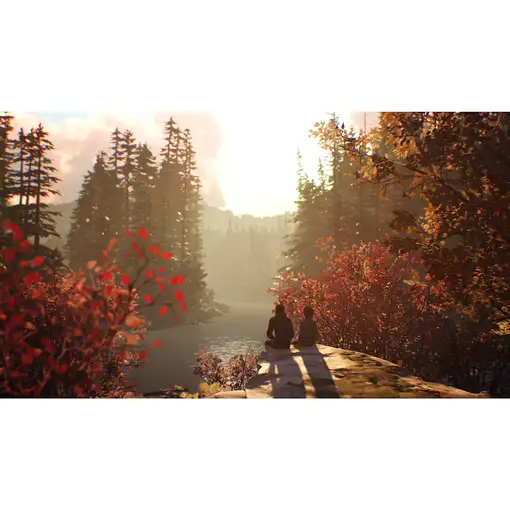 Square Enix Life is Strange 2 Estándar PlayStation 4