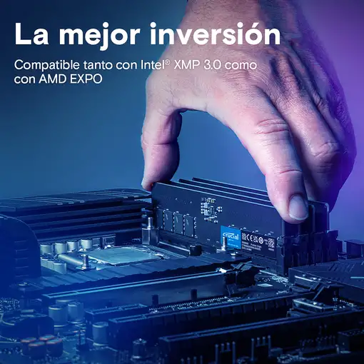 Crucial CT64G56C46U5 módulo de memoria 64 GB 1 x 64 GB DDR5 288-pin DIMM