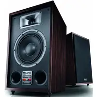 Magnat TRANSPULS 800A De 2 vías Negro, Marrón Inalámbrico y alámbrico 60 W