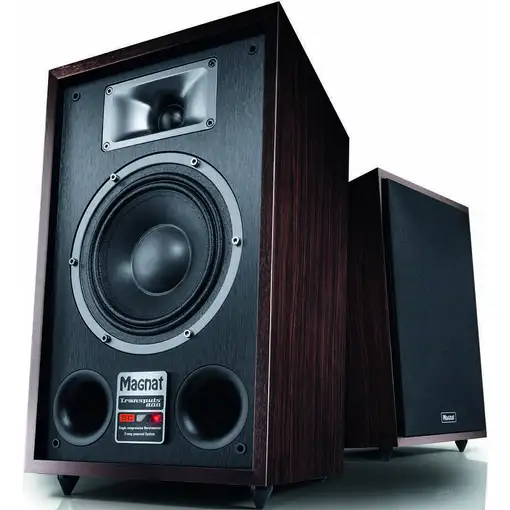 Magnat TRANSPULS 800A De 2 vías Negro, Marrón Inalámbrico y alámbrico 60 W