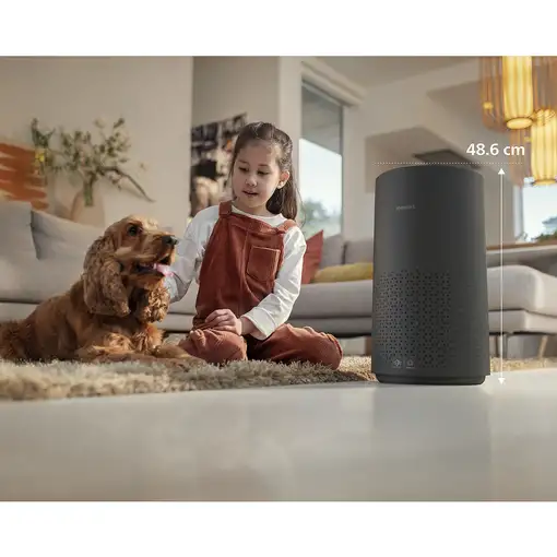 Philips 1000 series 1000i Series AC1715/10 Purificador de aire