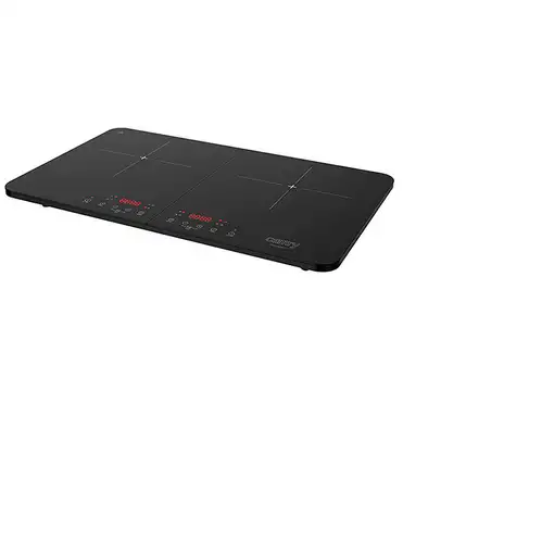 Placa de inducción CR 6514 CAMRY PREMIUM