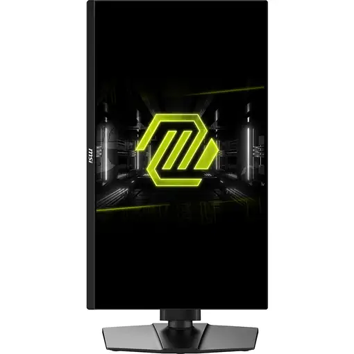 MSI MAG 255PXF pantalla para PC 62,2 cm (24.5") 1920 x 1080 Pixeles Full HD Negro