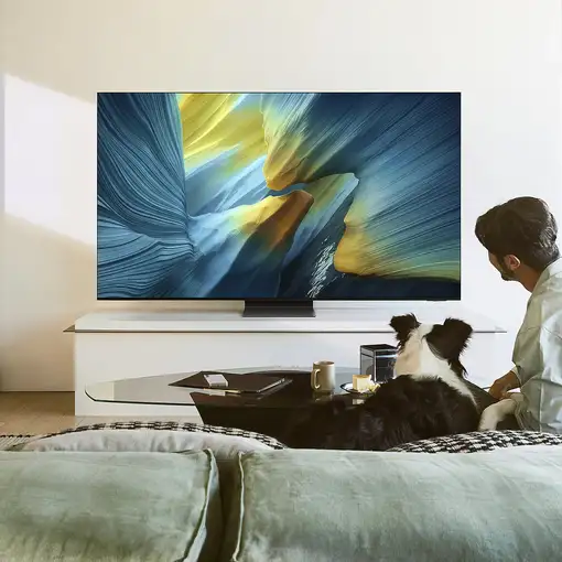 Televisor OLED 77" 4K Ultra HD Negro Smart QE77S95FATXXH SAMSUNG