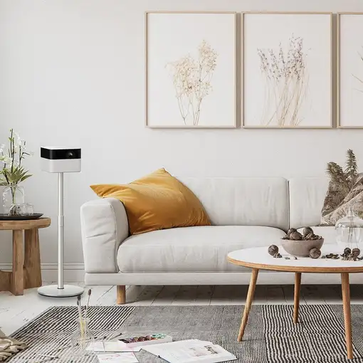 Epson ELPFS01 montaje para projector Piso Plata