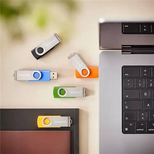 Intenso Basic Line unidad flash USB 8 GB USB tipo A 2.0 Negro, Azul, Verde,Naranja