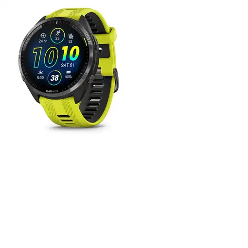 Smartwatch GARMIN