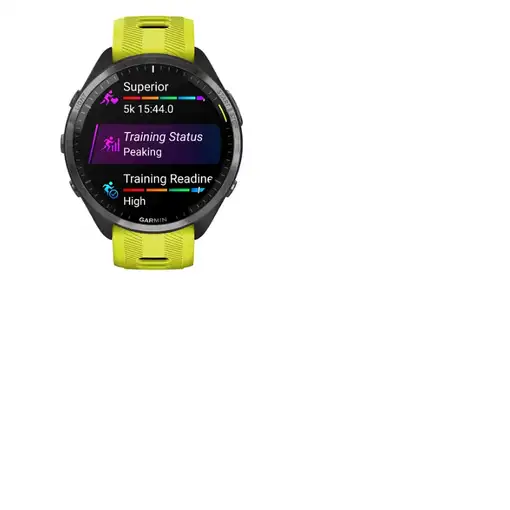 Smartwatch GARMIN