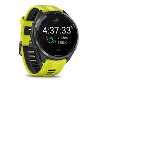 Smartwatch GARMIN