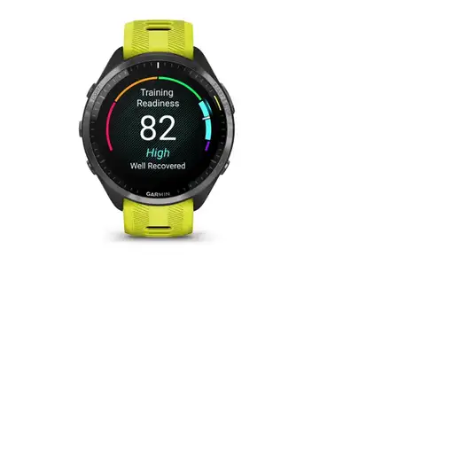 Smartwatch GARMIN
