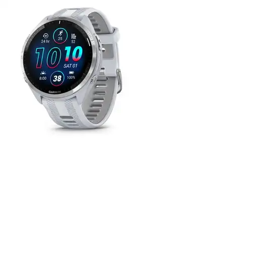 Smartwatch GARMIN