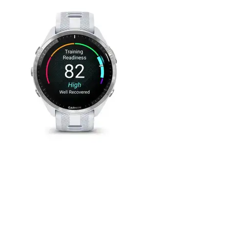 Smartwatch GARMIN