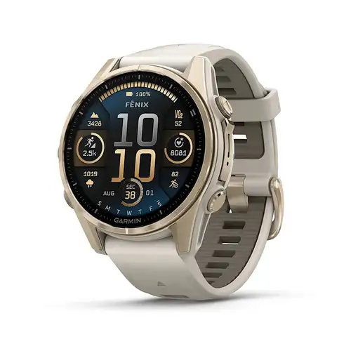 Smartwatch GARMIN