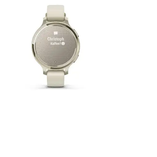Smartwatch GARMIN