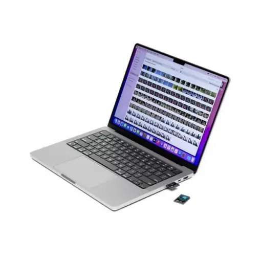 OWC Atlas S Pro 256 GB SDXC UHS-II