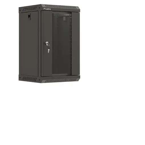 Lanberg WF11-3309-10B armario rack 9U Bastidor de pared Negro