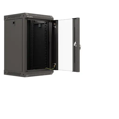 Lanberg WF11-3309-10B armario rack 9U Bastidor de pared Negro