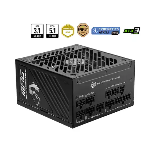 Fuente de alimentación MSI MPG A1250GS 1250W PCIE5 80+ Gold (306-7ZPFX11-CE0)