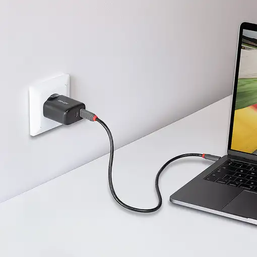 Lindy 73438 cargador de dispositivo móvil Universal Negro Corriente alterna Carga