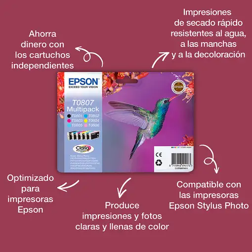Epson Hummingbird Cartucho T0801 negro