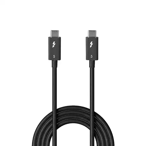 Lindy 31130 cable Thunderbolt 1 m 80 Gbit/s Negro