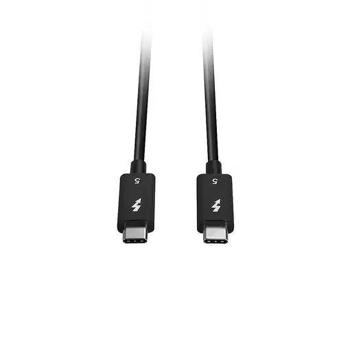 Lindy 31130 cable Thunderbolt 1 m 80 Gbit/s Negro