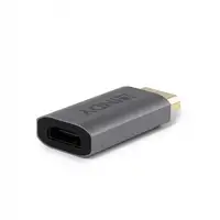 Lindy 41095 cambiador de género para cable DisplayPort HDMI Type A Gris