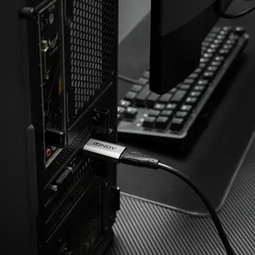 Lindy 41095 cambiador de género para cable DisplayPort HDMI Type A Gris