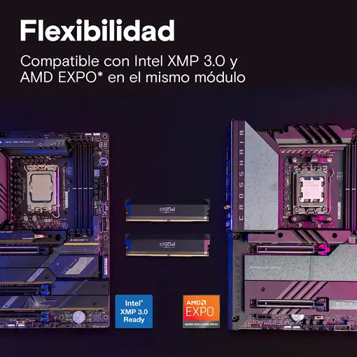 Crucial Pro CP2K32G64C40U5B módulo de memoria 64 GB 2 x 32 GB DDR5 288-pin DIMM