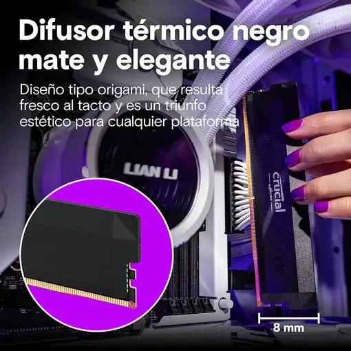 Crucial Pro CP2K32G64C40U5B módulo de memoria 64 GB 2 x 32 GB DDR5 288-pin DIMM