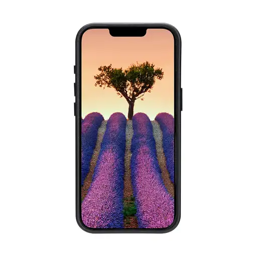 dbramante1928 Roskilde_2 funda para teléfono móvil 15,5 cm (6.1") Negro