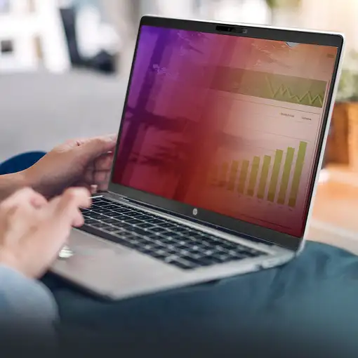 StarTech.com 156G-PRIVACY-SCREEN filtro para monitor 39,6 cm (15.6")