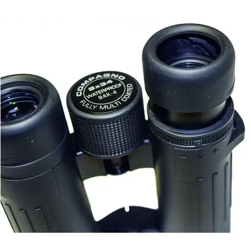 Braun Photo Technik Compagno 10x34 WP binocular BaK-4 Negro