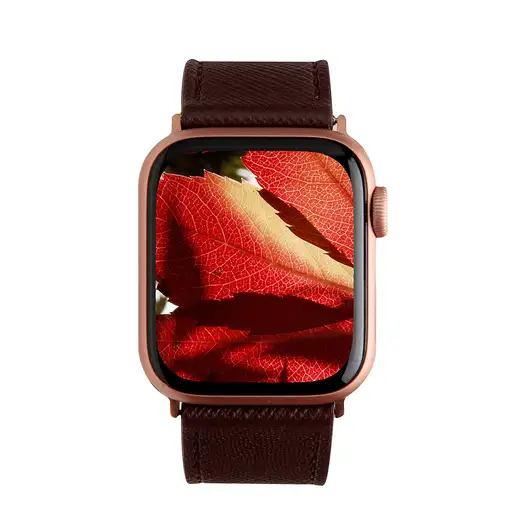 dbramante1928 Madrid Grupo de rock Chocolate Piel auténtica