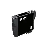 Epson Singlepack Black 502 Ink