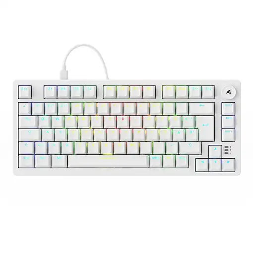 Sharkoon SGK25 teclado Hogar USB QWERTZ Alemán Blanco