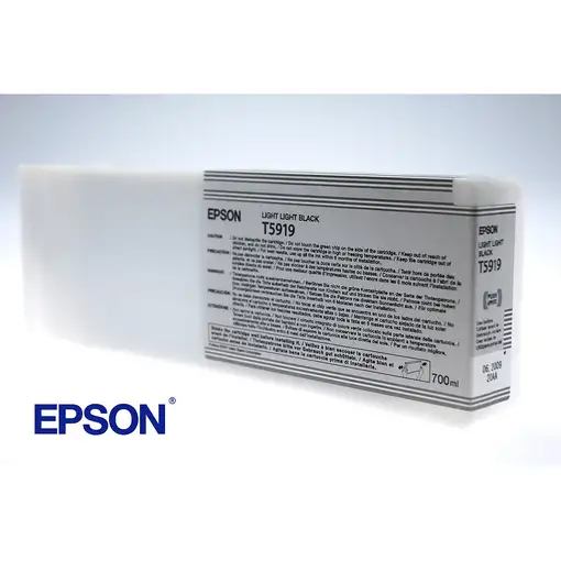 Epson Cartucho T591900 gris claro