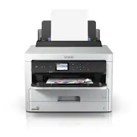 Epson DURABrite Pro